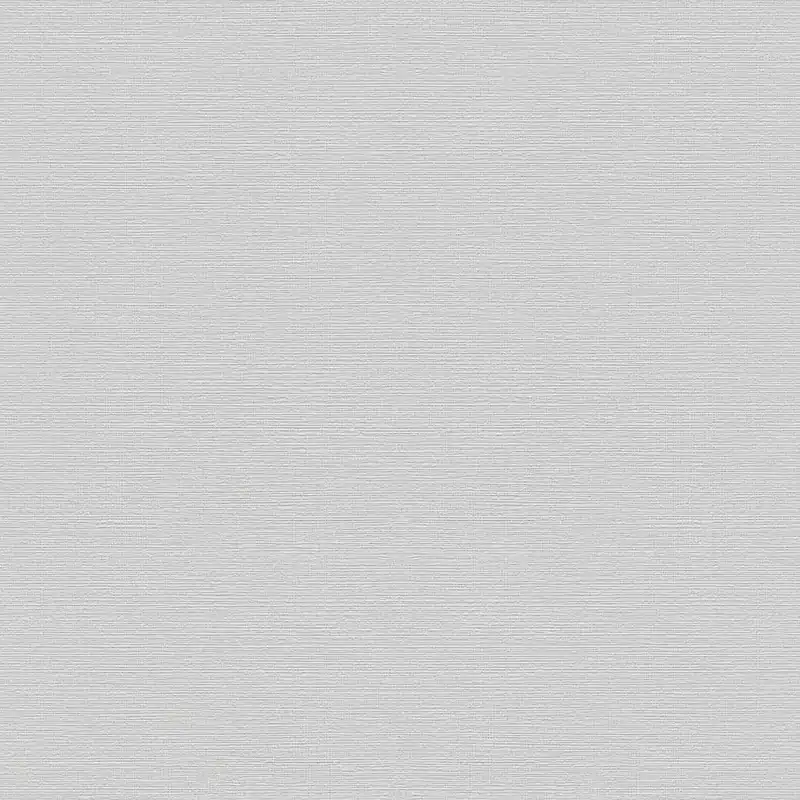 Preisreduziert Rasch Color Your Life 732344 Vliestapete Einfarbig Uni 0.53 x 10.05 m Silber Grau