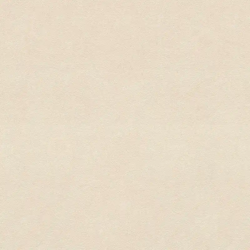 Rasch Vincenza 467147 Vliestapete Einfarbig Uni 0.53 x 10.05 m Beige Letzte Chance