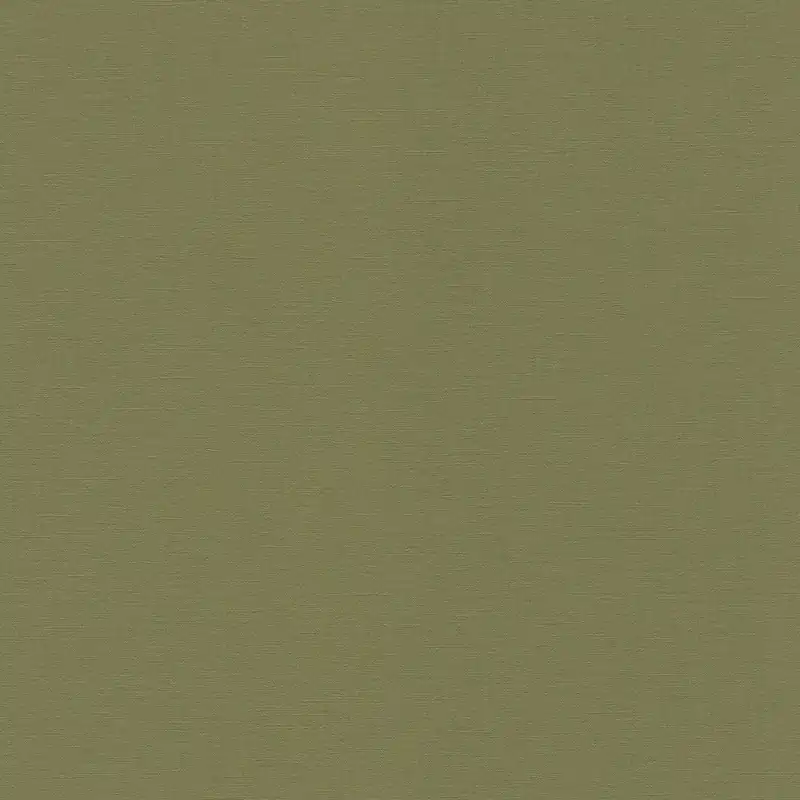 Vliestapete 452068 Grün Uni Einfarbig Country Charme Rasch Schneller Versand
