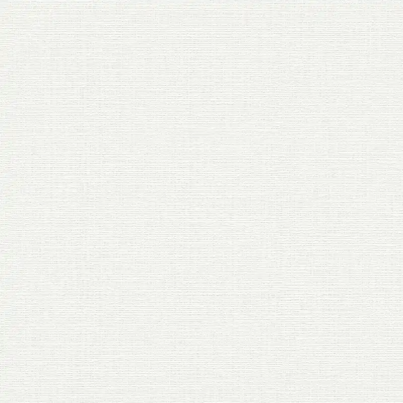 A.S. Creation Premium Wall 2 389721 Vliestapete Einfarbig 10.05 x 0.53 m Weiß Begrenztes Angebot
