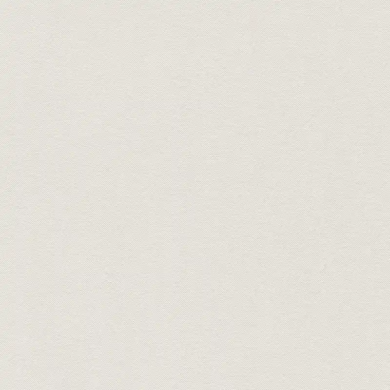 Jetzt Kaufen A.S. Creation Elegance 3 304861 Vliestapete Einfarbig Uni 0.53 x 10.05 m Beige