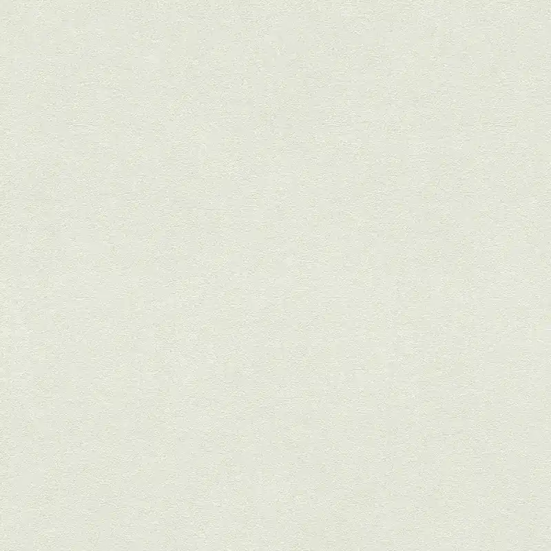 Abverkauf Rasch Selection 467109 Vliestapete Einfarbig Uni 0.53 x 10.05 m Beige