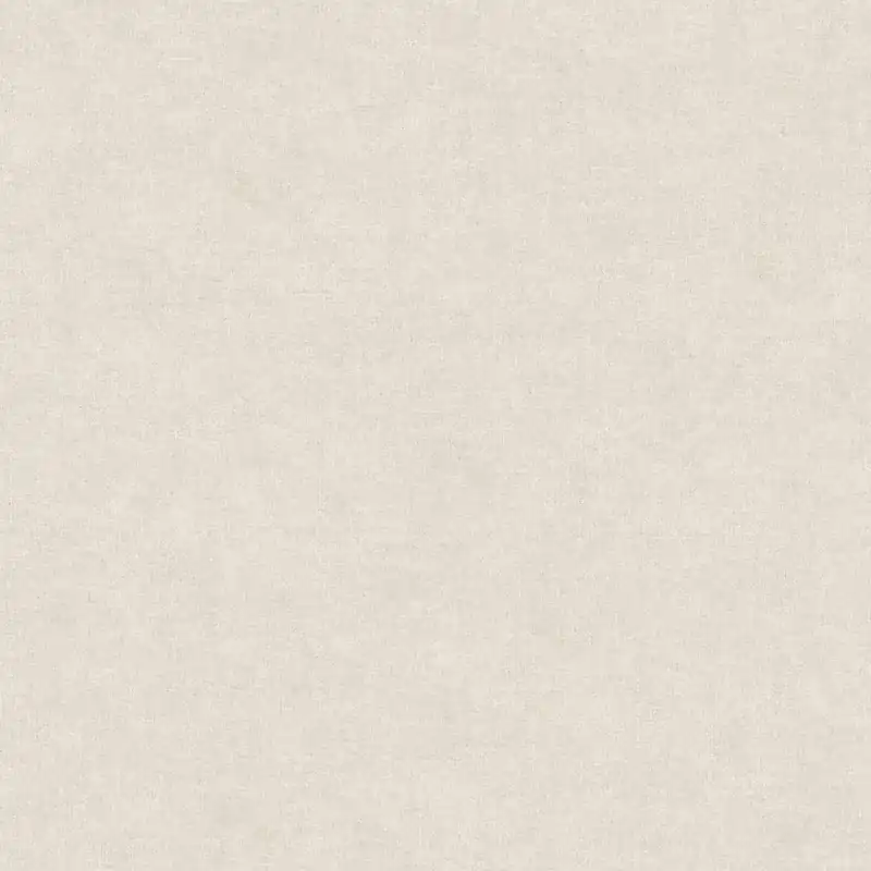 A.S. Creation Desert Lodge 367217 Vliestapete Einfarbig Uni 0.53 x 10.05 m Beige Schneller Versand