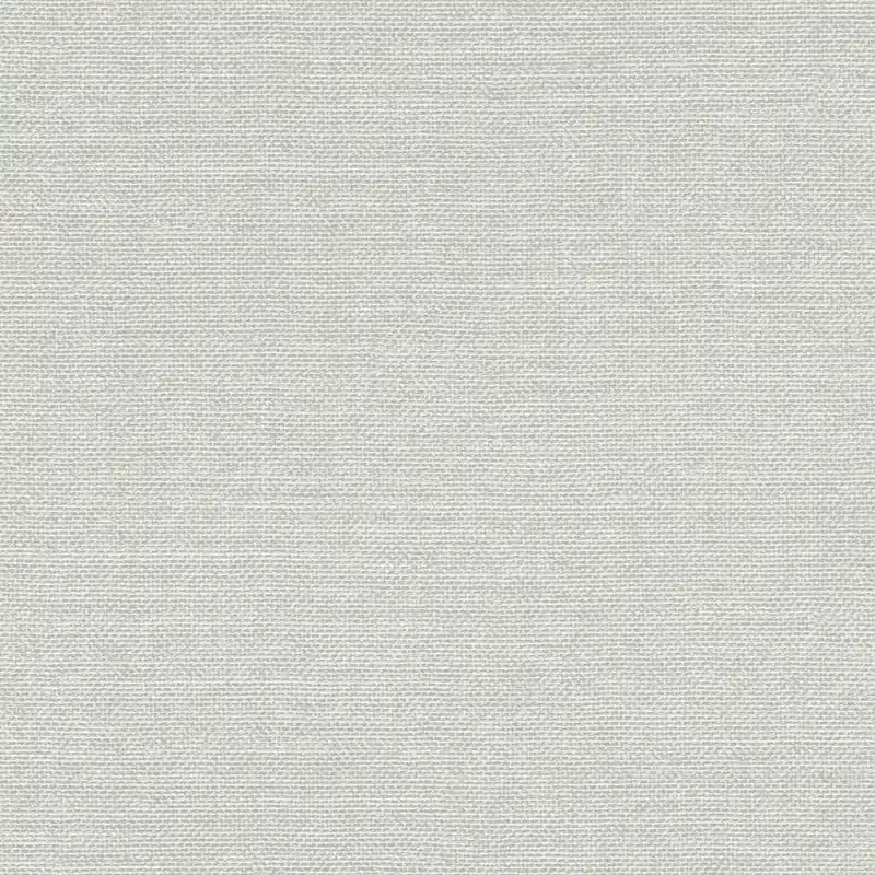 Direktkauf Rasch Color Your Life 312133 Vliestapete Einfarbig Uni 0.53 x 10.05 m Grau