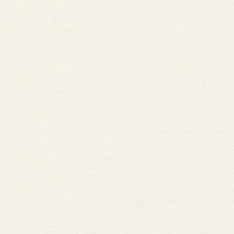 Günstig Vliestapete 306891 Uni Einfarbig Weiß Trendwall 2 A.S. Creation