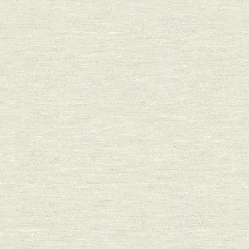 Neu A.S. Creation Revival 306881 Vliestapete Einfarbig Uni 0.53 x 10.05 m Beige