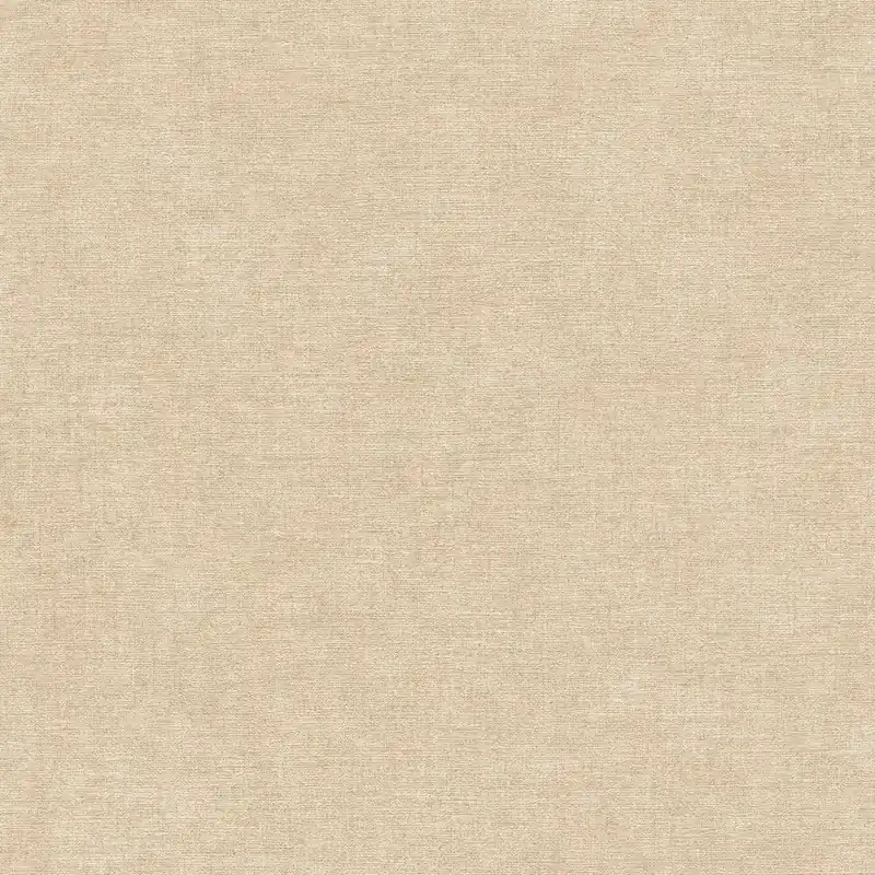 Vliestapete 395655 Beige Uni Einfarbig PintWalls II A.S. Creation Aktuell