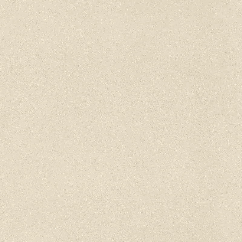 Rasch Club 418644 Vliestapete Einfarbig Uni 0.53 x 10.05 m Beige Preis Gesenkt