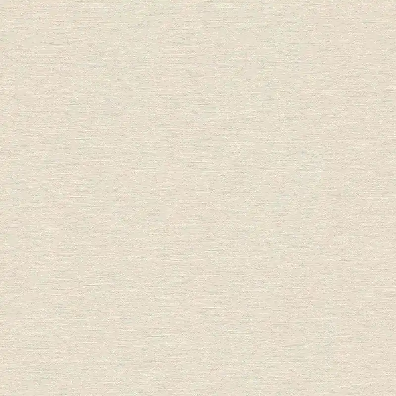 A.S. Creation Desert Lodge 324743 Vliestapete Einfarbig Uni 0.53 x 10.05 m Beige Schnäppchen