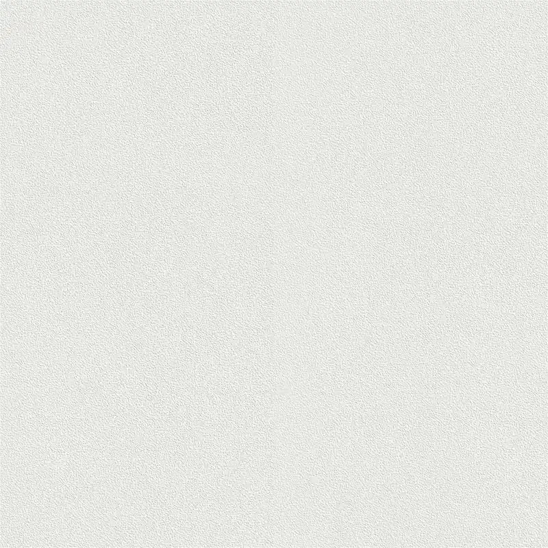 Vliestapete 144017 Uni Einfarbig Selection Rasch Neuheit