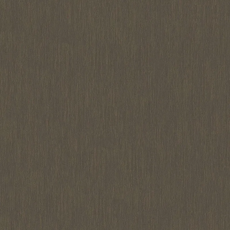 Letzte Chance A.S. Creation AP Longlife Colours 305634 Vliestapete Einfarbig 1.6 x 21 m Braun