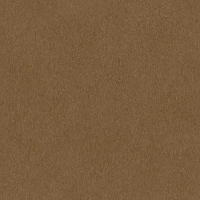 Abverkauf Rasch African Queen III 751079 Vliestapete Einfarbig Uni 0.53 x 10.05 m Braun