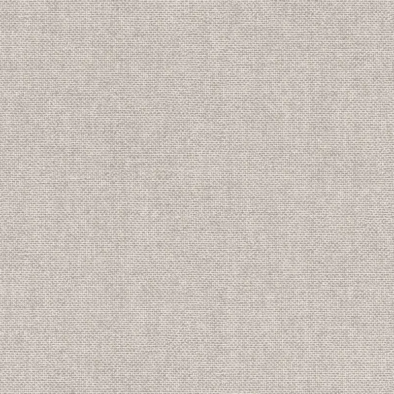 Solange Der Vorrat Reicht Rasch Color Your Life 312164 Vliestapete Einfarbig Uni 0.53 x 10.05 m Grau