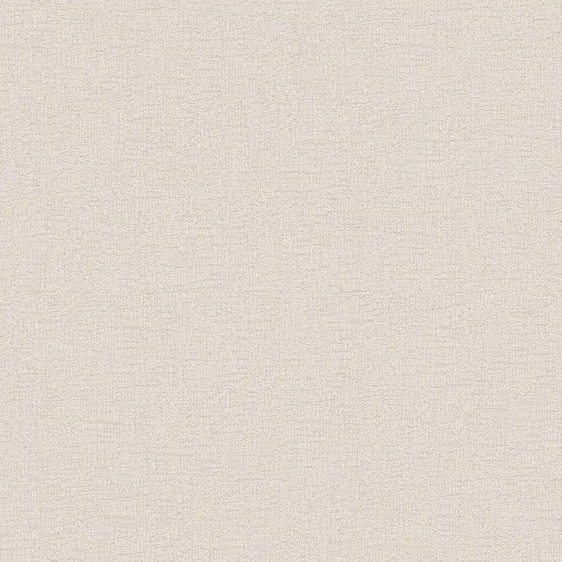 Sonderangebot A.S. Creation Styleguide Design 2024 378316 Vliestapete Einfarbig 10.05 x 0.53 m Beige