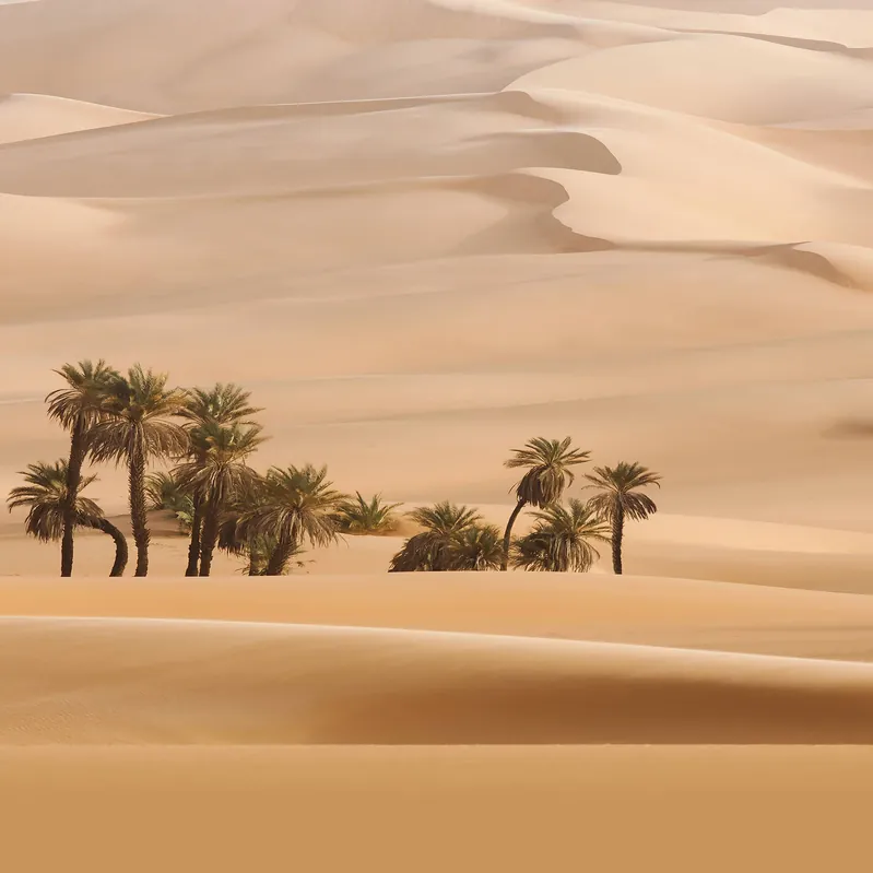 A.S. Creation Designwalls 2.0 DD119147 Fototapete Vlies 192 x 260 cm Landschaft Online Kaufen