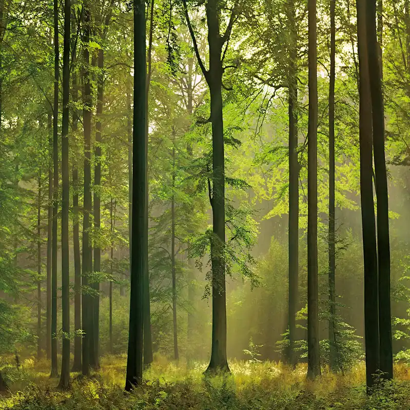 Saisonangebot A.S. Creation Designwalls 2.0 DD119002 Fototapete Vlies 384 x 260 cm Wald & Pflanzen