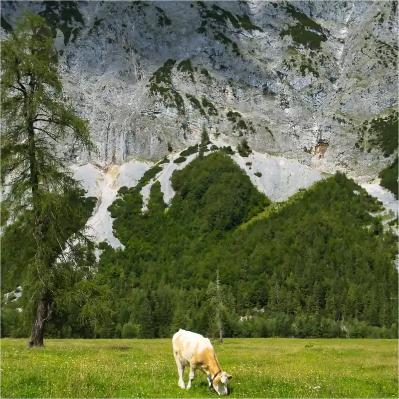 Wochenendangebot Vlies Fototapete 364637 Natur Landschaft Selection Rasch