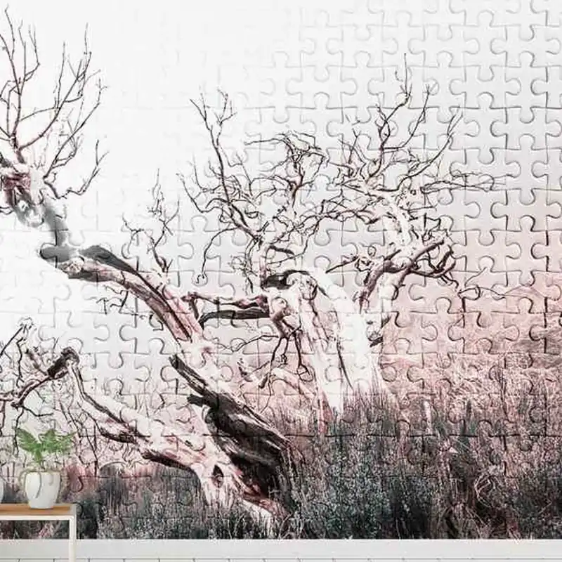 A.S. Creation Atelier 47 DD116900 Fototapete Vlies 600 x 270 cm Wald & Pflanzen Weiß Preisknaller