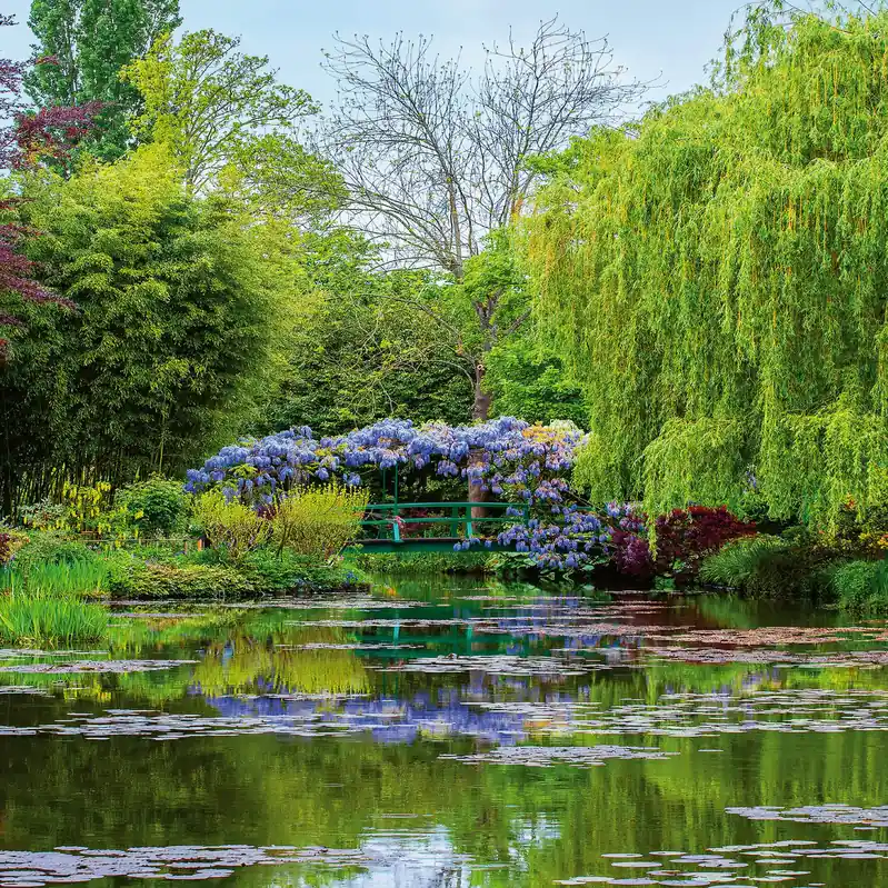 A.S. Creation Designwalls 2.0 DD119061 Fototapete Vlies 192 x 260 cm Natur Bunt Zertifiziert