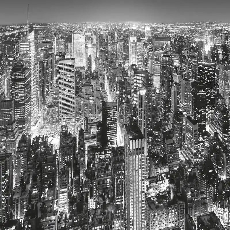 A.S. Creation Designwalls 2.0 DD118993 Fototapete Vlies 384 x 260 cm New York Grau Saisonangebot