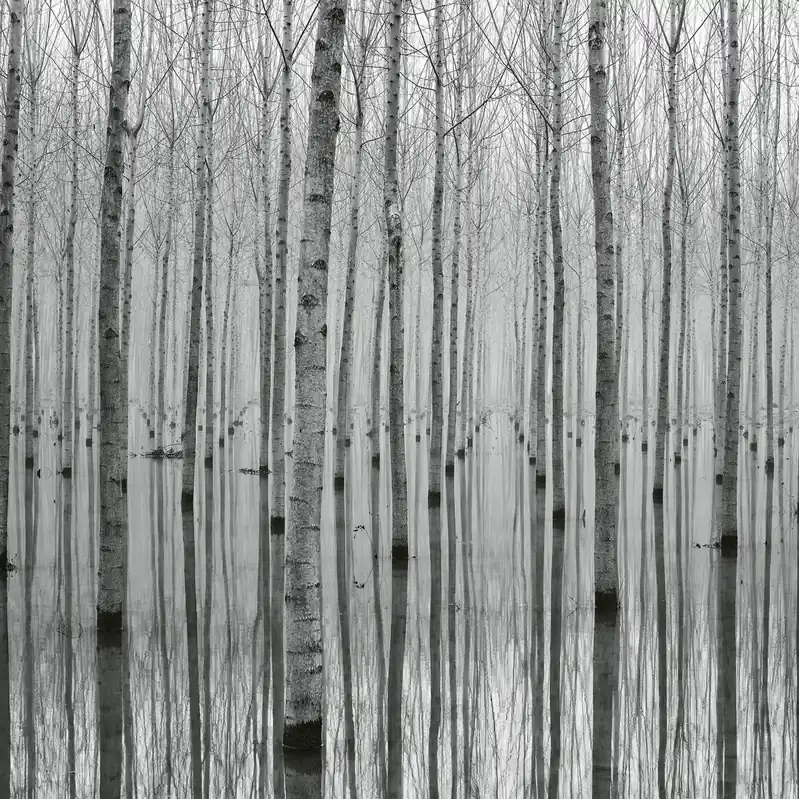A.S. Creation Designwalls 2.0 DD118946 Fototapete Vlies 384 x 260 cm Landschaft Mega-Angebot