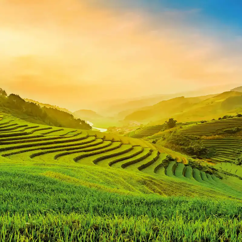 A.S. Creation Designwalls 2.0 DD119059 Fototapete Vlies 192 x 260 cm Landschaft Must-Have