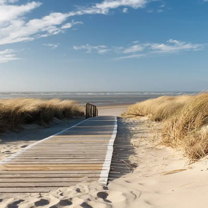 A.S. Creation Designwalls 2.0 DD119127 Fototapete Vlies 192 x 260 cm Strand & Meer Billig