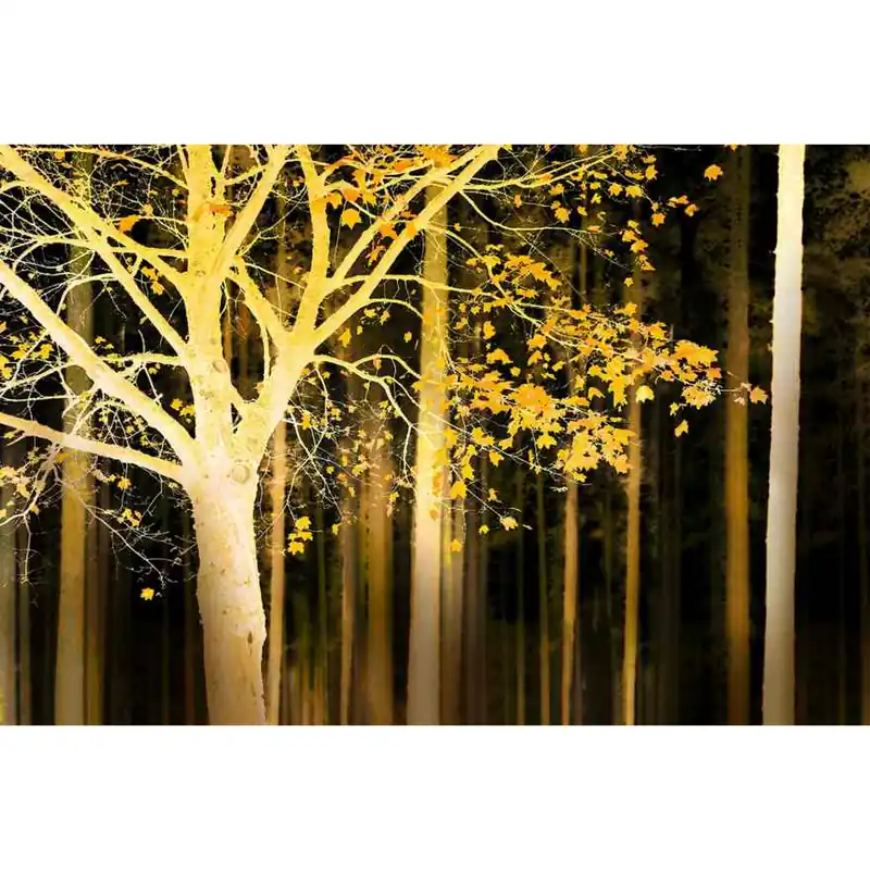 Online Kaufen A.S. Creation AP Digital 4 DD109055 Fototapete Vlies Versch. Größen Wald & Pflanzen