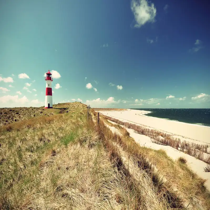 A.S. Creation Designwalls DD118654 Fototapete Vlies 350 x 255 cm Strand & Meer Bunt Abverkauf