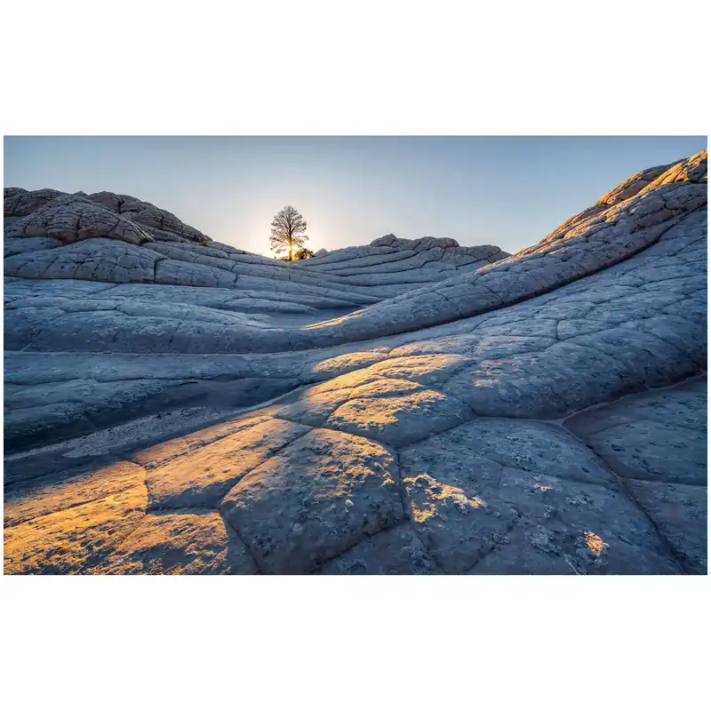 Highlight Komar Fototapete - Elephant Skin - 250 x 400 cm - Vlies Digitaldruck - Rustikal Natur