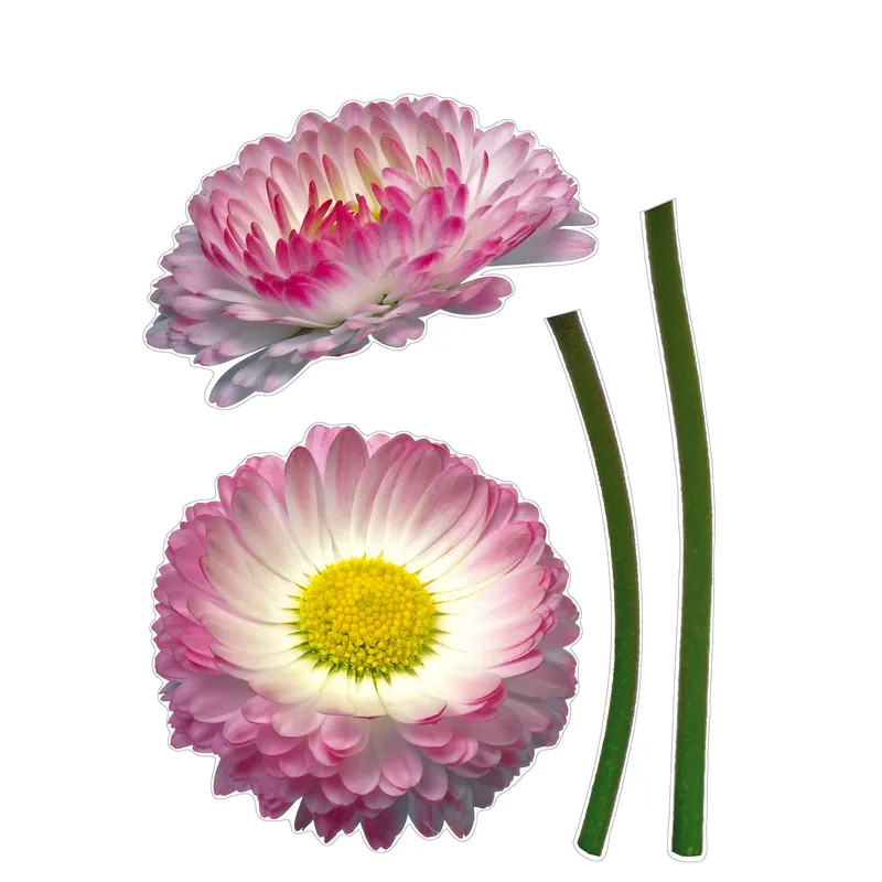 Komar Wandtattoo - Daisy - 70 x 50 cm - Wandsticker Selbstklebend - Natur Top-Preis