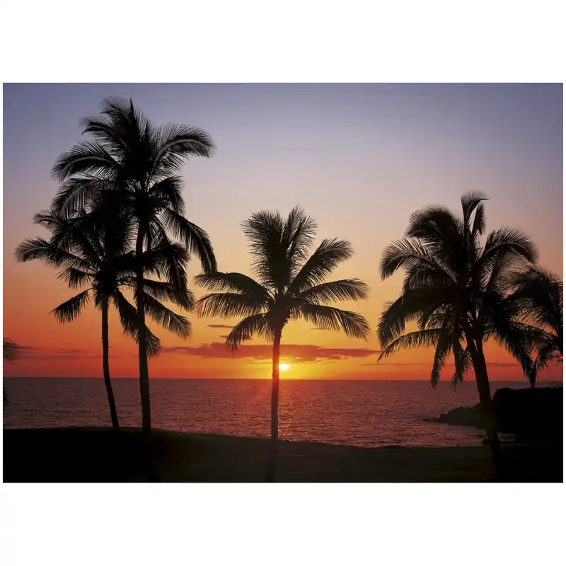 Komar Fototapete - Hawaii - 254 x 368 cm - Papier Motivtapete - Modern Nur Für Kurze Zeit