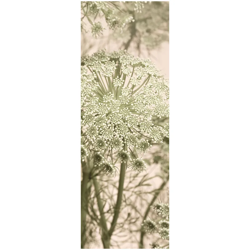 Komar Fototapete - Mellow - 280 x 100 cm - Vlies Digitaldruck - Natur Kracherpreis