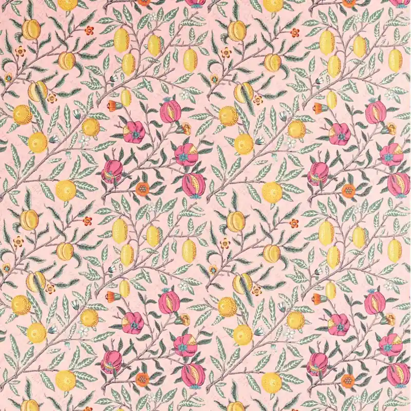 Stoff Fruit Coton Morris and Co Super-Preis