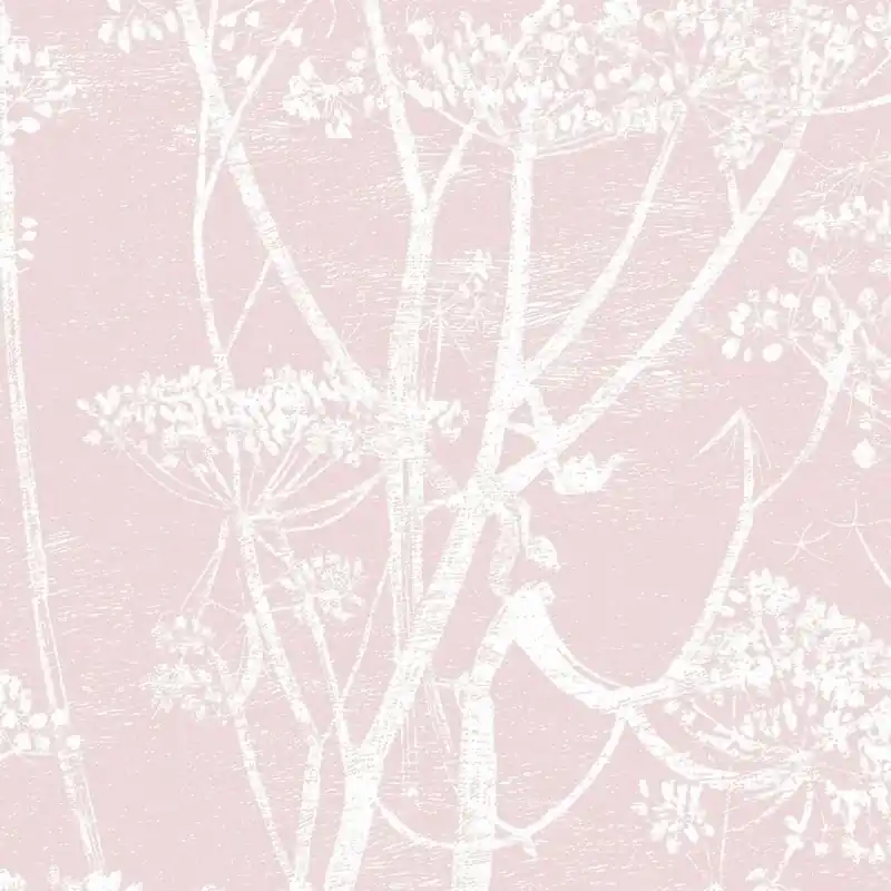 Stoff Cow Parsley Cole and Son Versand Am Gleichen Tag