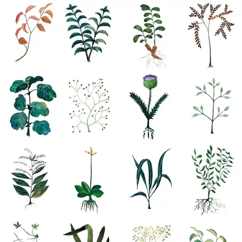 Neuheit Panoramatapete Herbarium Bien Fait