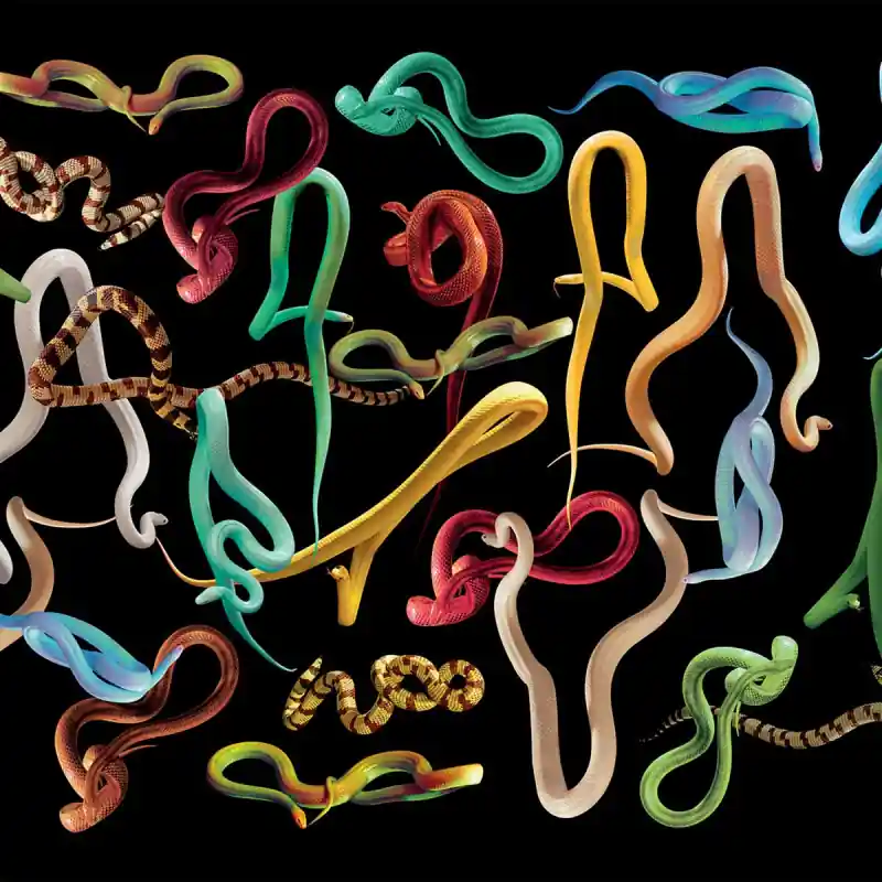 Aktuell Panoramatapete Snakes Storm Londonart