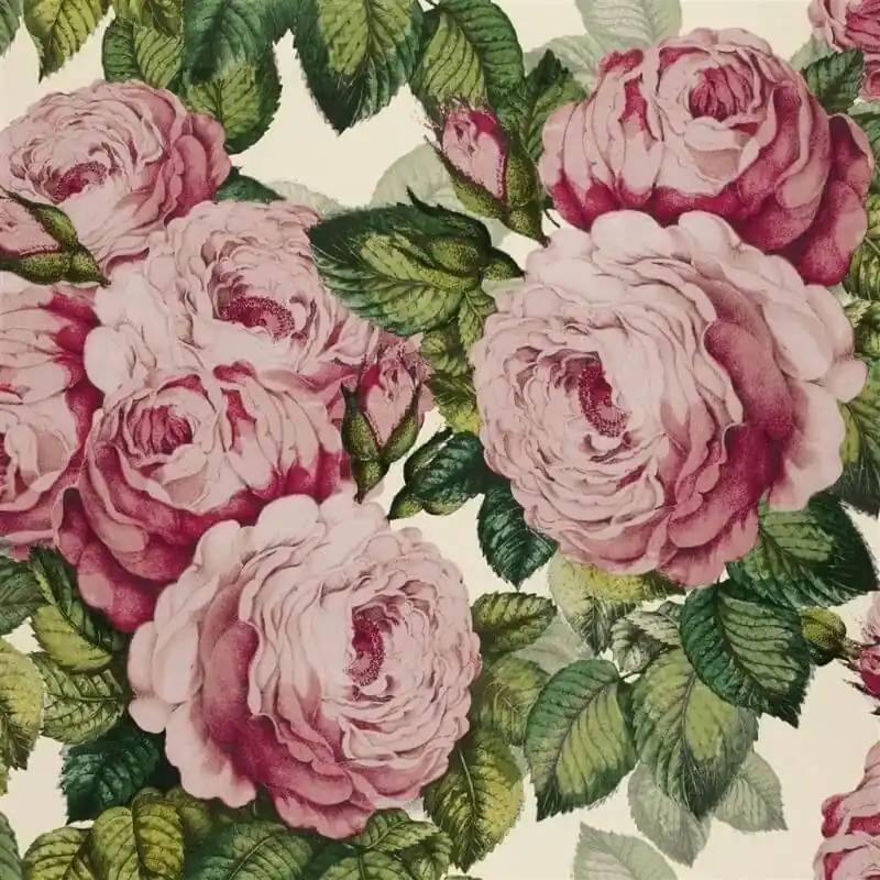 Tapete The Rose John Derian Heißes Angebot