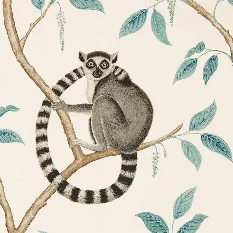 Tapete Ringtailed Lemur Sanderson Jetzt Kaufen
