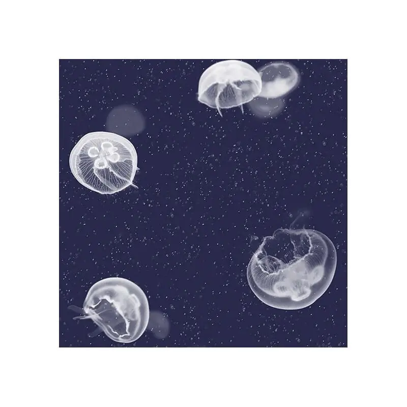 Geprüft Tapete Jellyfish Coordonné