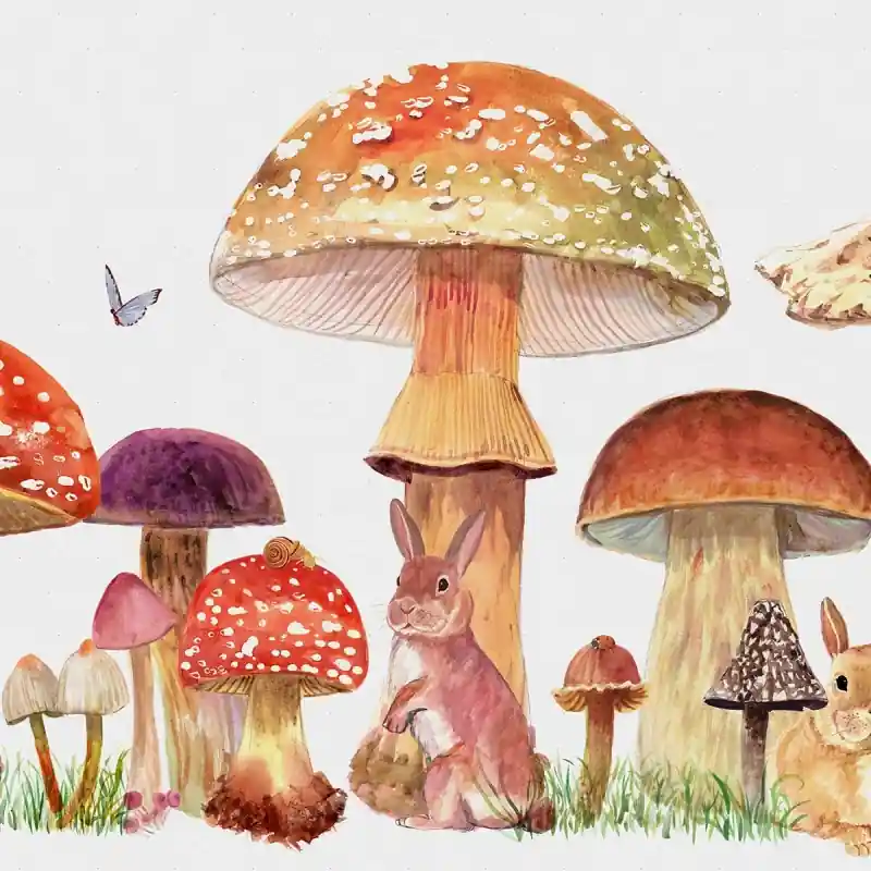 Panoramatapete Sweet Forest Coordonné Preisreduziert