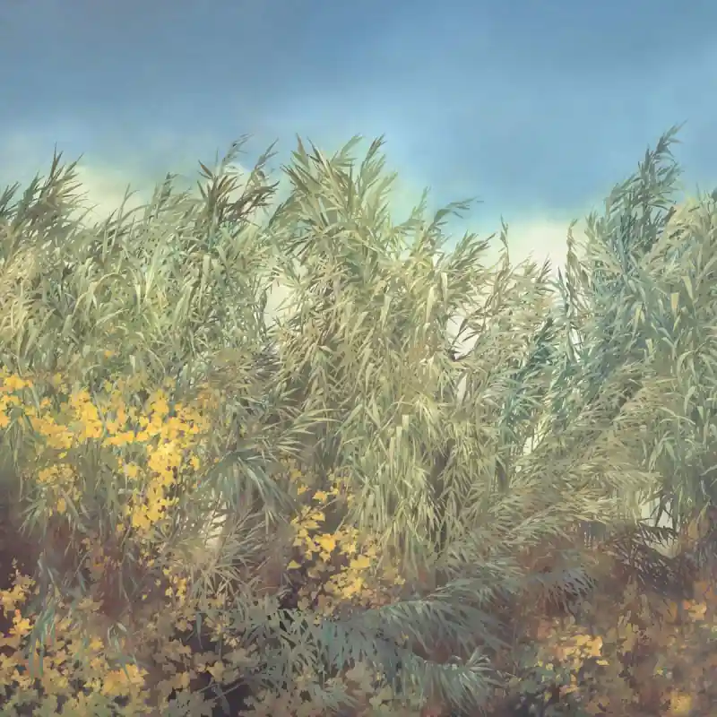 Panoramatapete Arundo Donax Isidore Leroy Top-Seller