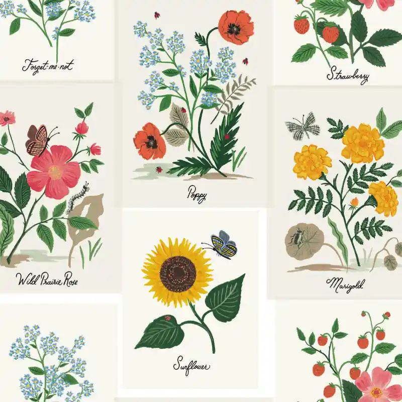 Echt Tapete Botanical Prints Rifle Paper Co.