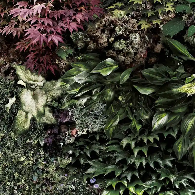 Markenware Panoramatapete Jardin Vertical Koziel
