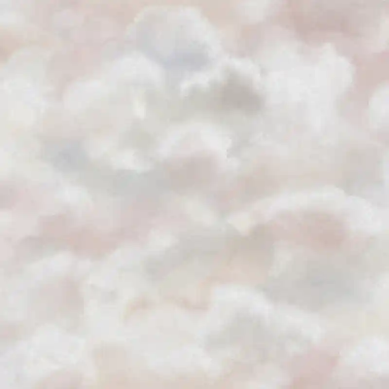 Knallerangebot Panoramatapete Clouds Borastapeter