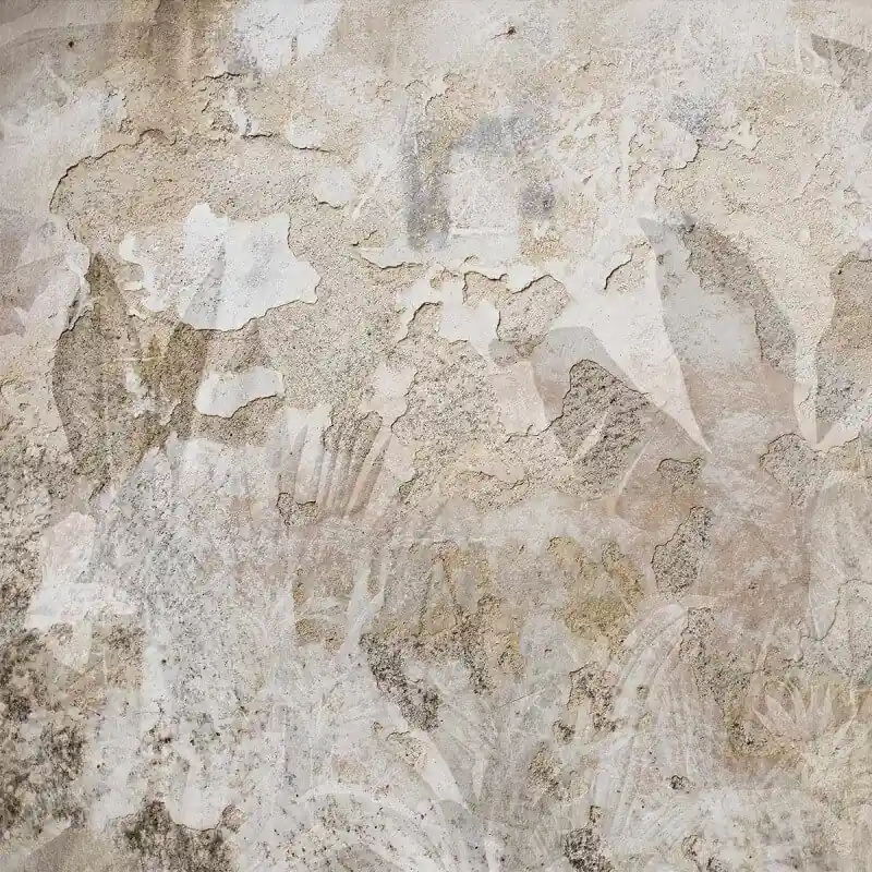 Panoramatapete Tropical Patina Wall Les Dominotiers Mega-Angebot