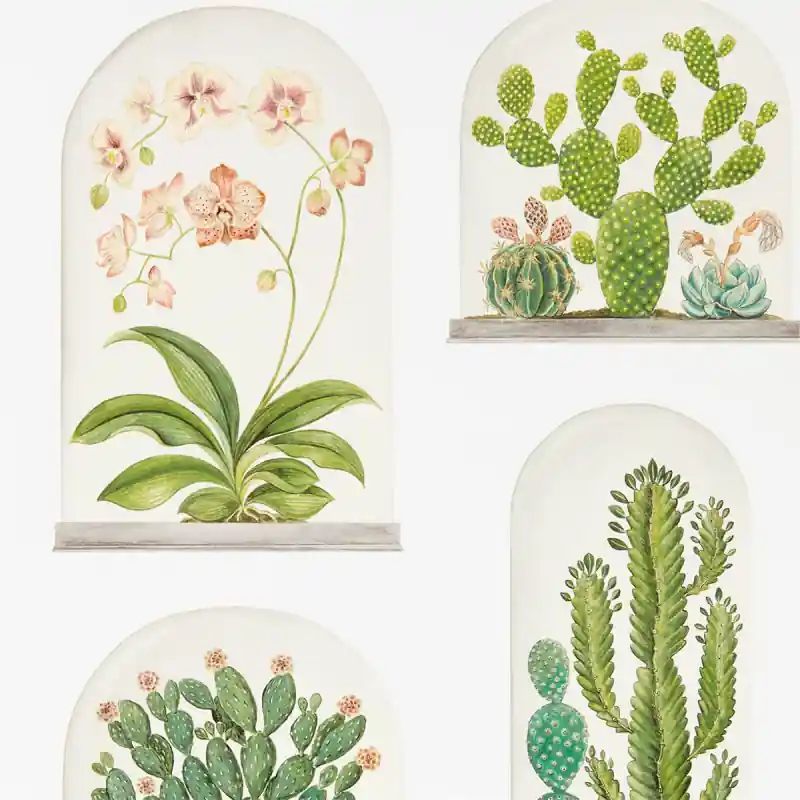 Preisknaller Tapete Terrariums Sanderson