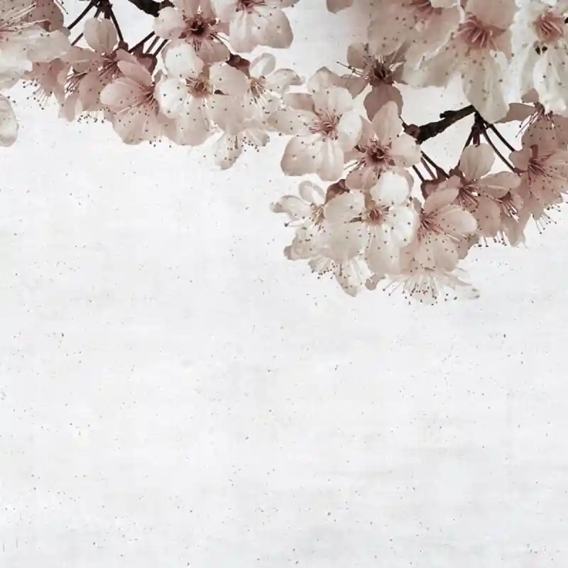 Panoramatapete Blossom Big Almond Flower Coordonné Markenprodukt