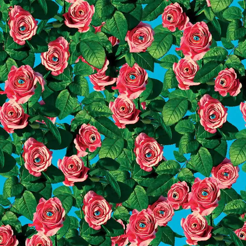 Billig Panoramatapete Eyes & Roses Londonart