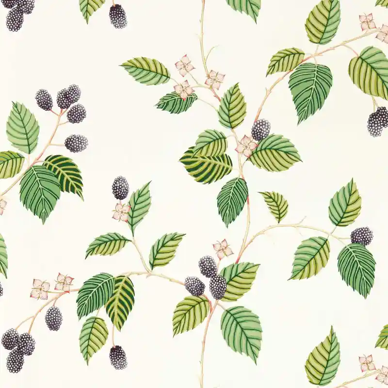 Tapete Rubus Sanderson Preisreduziert